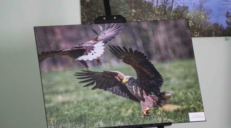 VMU jauniesiems miško bičiuliams organizuojamas fotografijų konkursas „Augu kartu su mišku“ kelia tikslus skatinti saviraišką ir kūrybiškumą, ugdyti atsakingą elgesį miške, kviesti jaunus visuomenės narius domėtis miškininko profesija.