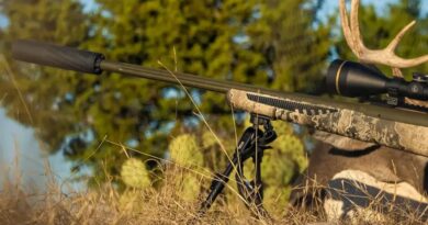 Seimas ketvirtadienį pritarė Ginklų ir šaudmenų kontrolės įstatymo pataisoms, kuriomis suteikiama galimybę duslintuvą naudoti sportininkams, medžiotojams, šauliams.