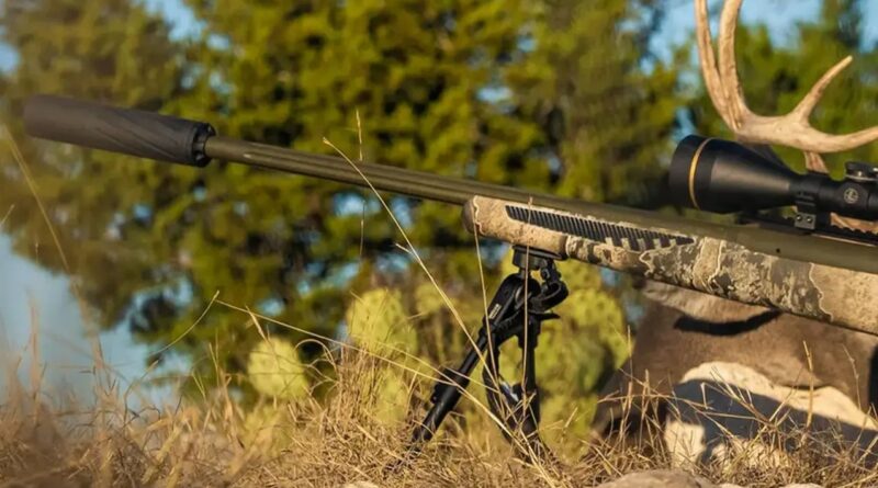 Seimas ketvirtadienį pritarė Ginklų ir šaudmenų kontrolės įstatymo pataisoms, kuriomis suteikiama galimybę duslintuvą naudoti sportininkams, medžiotojams, šauliams.