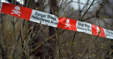 Seimas nusprendė denonsuoti priešpėstines minas draudžiančią Otavos konvenciją.