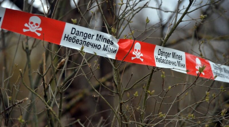 Seimas nusprendė denonsuoti priešpėstines minas draudžiančią Otavos konvenciją.