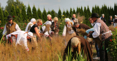 Panevėžio rajone esanti Upytė daug dešimtmečių garsėjo kaip linų kraštas. Vasaromis kiek akys užmatydavo čia mėlynuodavo jų laukai.