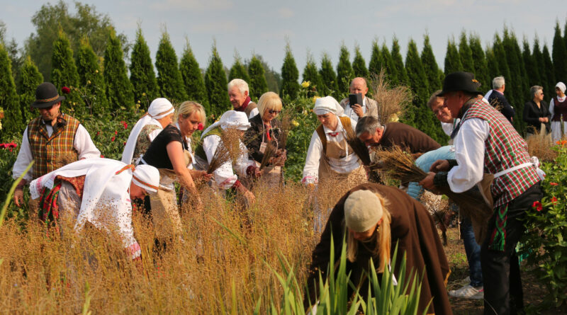 Panevėžio rajone esanti Upytė daug dešimtmečių garsėjo kaip linų kraštas. Vasaromis kiek akys užmatydavo čia mėlynuodavo jų laukai.