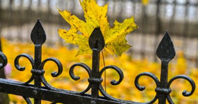 Lietuvoje šimtmečius gyvavusi giedotojų tradicija nyksta. Prie karsto giedamos šermenų giesmės, pasakojančios apie gyvenimą, mirtį ir viltį, šiandien skamba retai – tarsi paskutiniai praeities atgarsiai. Su tokiomis giesmėmis užaugusi vadokliškė Eugenija Pečeliūnienė – viena iš nedaugelio tęsiančių net kelių kartų giedotojų tradiciją.