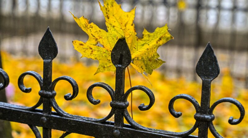 Lietuvoje šimtmečius gyvavusi giedotojų tradicija nyksta. Prie karsto giedamos šermenų giesmės, pasakojančios apie gyvenimą, mirtį ir viltį, šiandien skamba retai – tarsi paskutiniai praeities atgarsiai. Su tokiomis giesmėmis užaugusi vadokliškė Eugenija Pečeliūnienė – viena iš nedaugelio tęsiančių net kelių kartų giedotojų tradiciją.