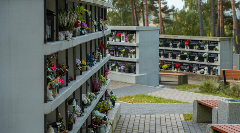 Vieną dieną kiekvienas iš mūsų taps gamtos dalimi – klausimas tik tas, ar leisime jai tai padaryti lengvai.