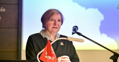 Lietuvių kalbos žodynas sostinę apibrėžia kaip svarbiausią valstybės miestą, kuriame yra aukščiausieji valdžios organai.