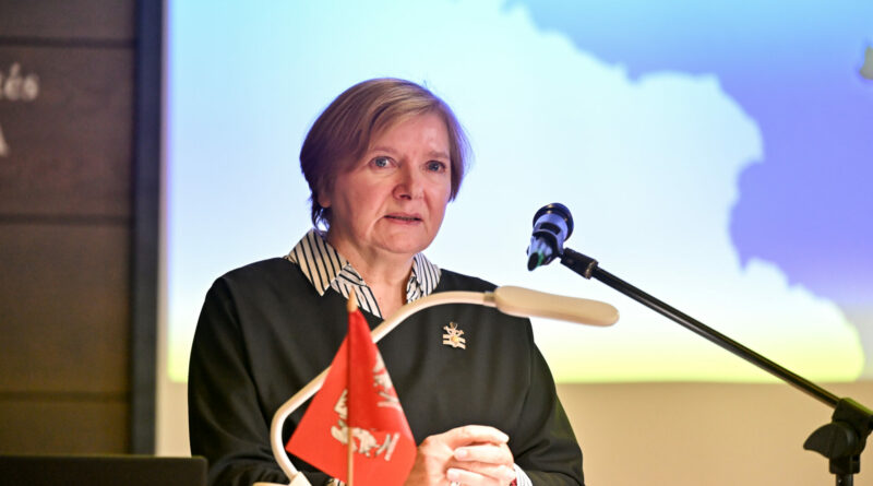 Lietuvių kalbos žodynas sostinę apibrėžia kaip svarbiausią valstybės miestą, kuriame yra aukščiausieji valdžios organai.