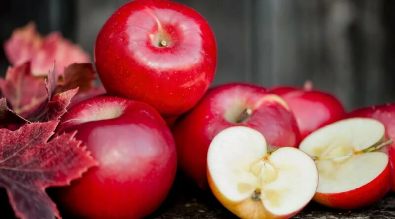 Obuoliai vieni populiariausių vaisių – daugiausia dėl skonio, nors labiausiai turėtų būti vertinami dėl naudos sveikatai.
