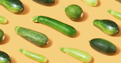 Cukinijos – dar XX a. pradžioje lietuvių daržus pasiekusios daržovės, kurias dėl išskirtinės išvaizdos galime vadinti tikromis daržo karalienėmis.