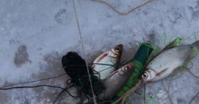 Seimas linkęs pritarti siūlymui numatyti galimybę iš brakonieriaujančių žvejų konfiskuoti transporto priemones.