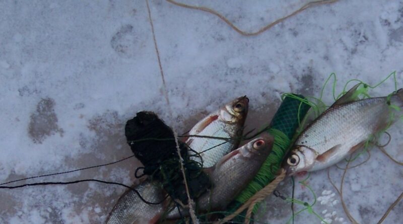 Seimas linkęs pritarti siūlymui numatyti galimybę iš brakonieriaujančių žvejų konfiskuoti transporto priemones.