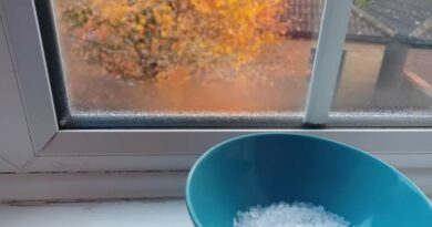 Kiekvieną rudenį ir žiemą ant kai kurių namų palangių galima pamatyti keistą vaizdą – lėkštę su druska.