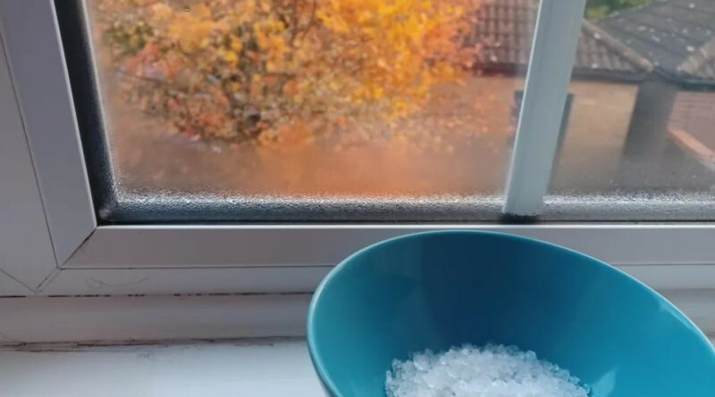 Kiekvieną rudenį ir žiemą ant kai kurių namų palangių galima pamatyti keistą vaizdą – lėkštę su druska.