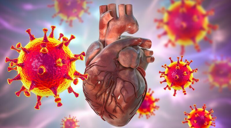 Gripas didina infarkto riziką septynis kartus, bet tai ne vienintelis virusas, sukeliantis širdies ir kraujagyslių sistemos komplikacijas.
