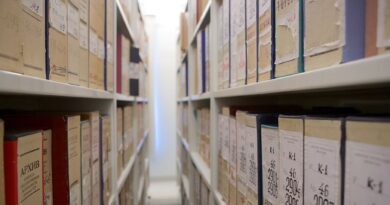 Vyriausybė nepritaria pavasarį Seime pradėtoms svarstyti konservatoriaus Arvydo Anušausko ir „Nemuno aušros“ lyderio Remigijaus Žemaitaičio iniciatyvoms, kuriomis siekiama išslaptinti buvusius KGB bendradarbius.