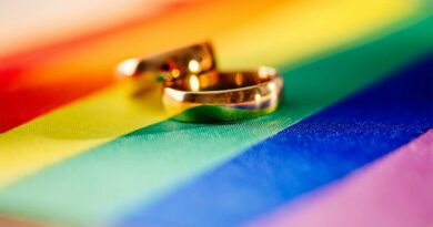 Teisingumo ministerijos vertinimu, Seime registruoti Civilinio kodekso pakeitimai dėl partnerystės įteisinimo tos pačios lyties porų santykius prilygina santuokinėms šeimoms, sako viceministrė Kristina Zamarytė-Sakavičienė.