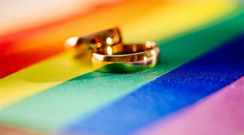 Teisingumo ministerijos vertinimu, Seime registruoti Civilinio kodekso pakeitimai dėl partnerystės įteisinimo tos pačios lyties porų santykius prilygina santuokinėms šeimoms, sako viceministrė Kristina Zamarytė-Sakavičienė.