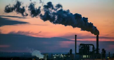 Pramonės produkcijos vertė šių metų sausio-spalio mėnesiais padidėjo 3,2 proc. (palyginamosiomis kainomis), lyginant su tuo pačiu laikotarpiu pernai, ir sudarė 29,2 mlrd. eurų (to meto kainomis), pranešė Valstybės duomenų agentūra.