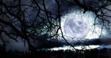 Artimiausias supermėnulis naktiniame danguje patekės netrukus — 2025 metų gruodžio 4 dieną, ir tai bus jau trečiasis iš eilės šių metų supermėnulis.