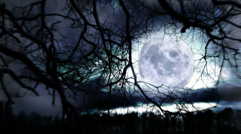 Artimiausias supermėnulis naktiniame danguje patekės netrukus — 2025 metų gruodžio 4 dieną, ir tai bus jau trečiasis iš eilės šių metų supermėnulis.