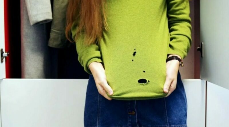 Kandys gali atrodyti patys nekalčiausi vabzdžiai pasaulyje. Jos nekanda, neplatina ligų ir netgi neskleidžia triukšmo.