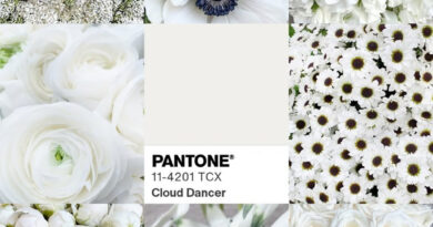 Kaip ir kasmet, artėjant Naujiesiems vienas svarbiausių mados tendencijų diktuotojų pasaulyje – spalvų institutas „Pantone“ – paskelbė būsimą 2026-ųjų spalvą ir šįkart pasirinkimu nustebino.