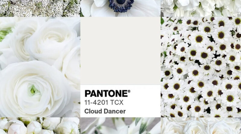 Kaip ir kasmet, artėjant Naujiesiems vienas svarbiausių mados tendencijų diktuotojų pasaulyje – spalvų institutas „Pantone“ – paskelbė būsimą 2026-ųjų spalvą ir šįkart pasirinkimu nustebino.