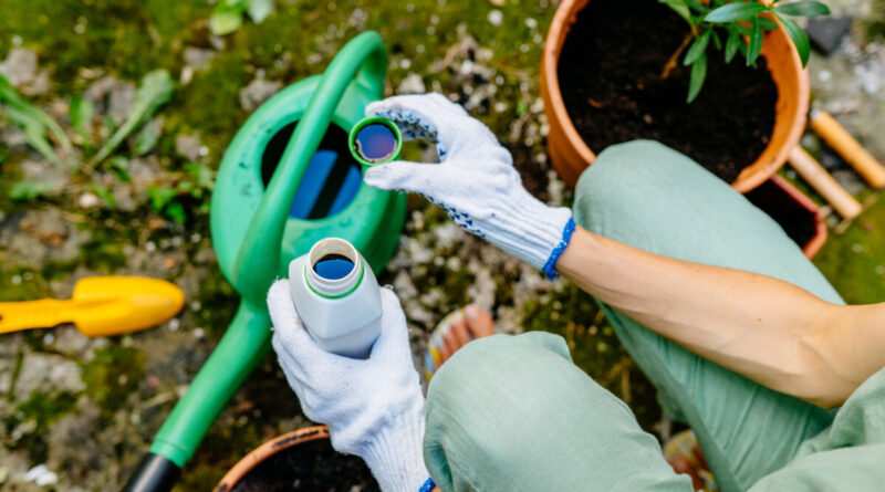 Kas yra huminės trąšos ir kam jos reikalingos.