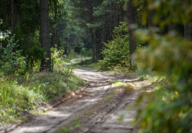 Nuteistas itin pavojingu būdu brakonieriavęs anykštėnas