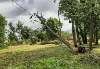 Dėl audros padarinių Vyriausybė paskelbė valstybės lygio ekstremaliąją situaciją