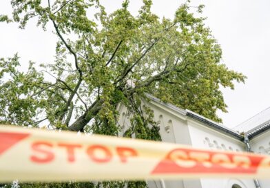Audros židiniai slenka per Lietuvą, virsta medžiai, tūkstančiai namų ūkių neturi elektros