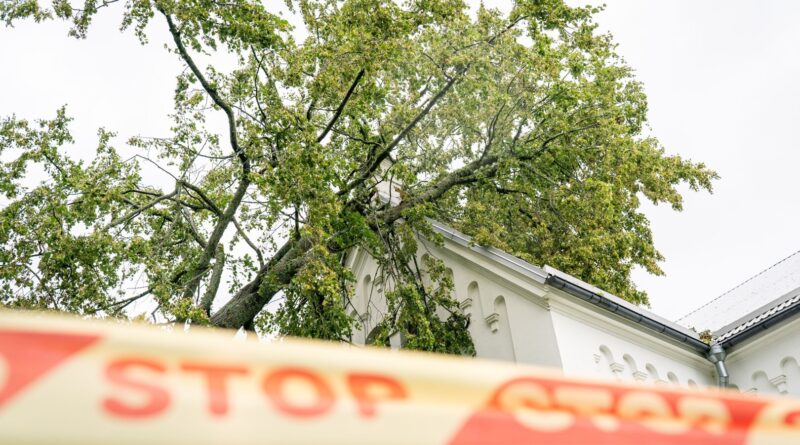 Audros židiniai slenka per Lietuvą, virsta medžiai, tūkstančiai namų ūkių neturi elektros