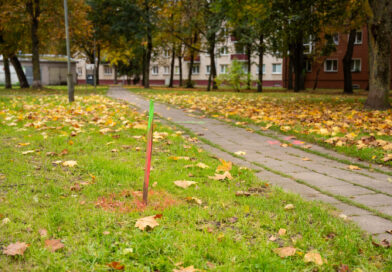 Panevėžys atsikrato senųjų šviestuvų